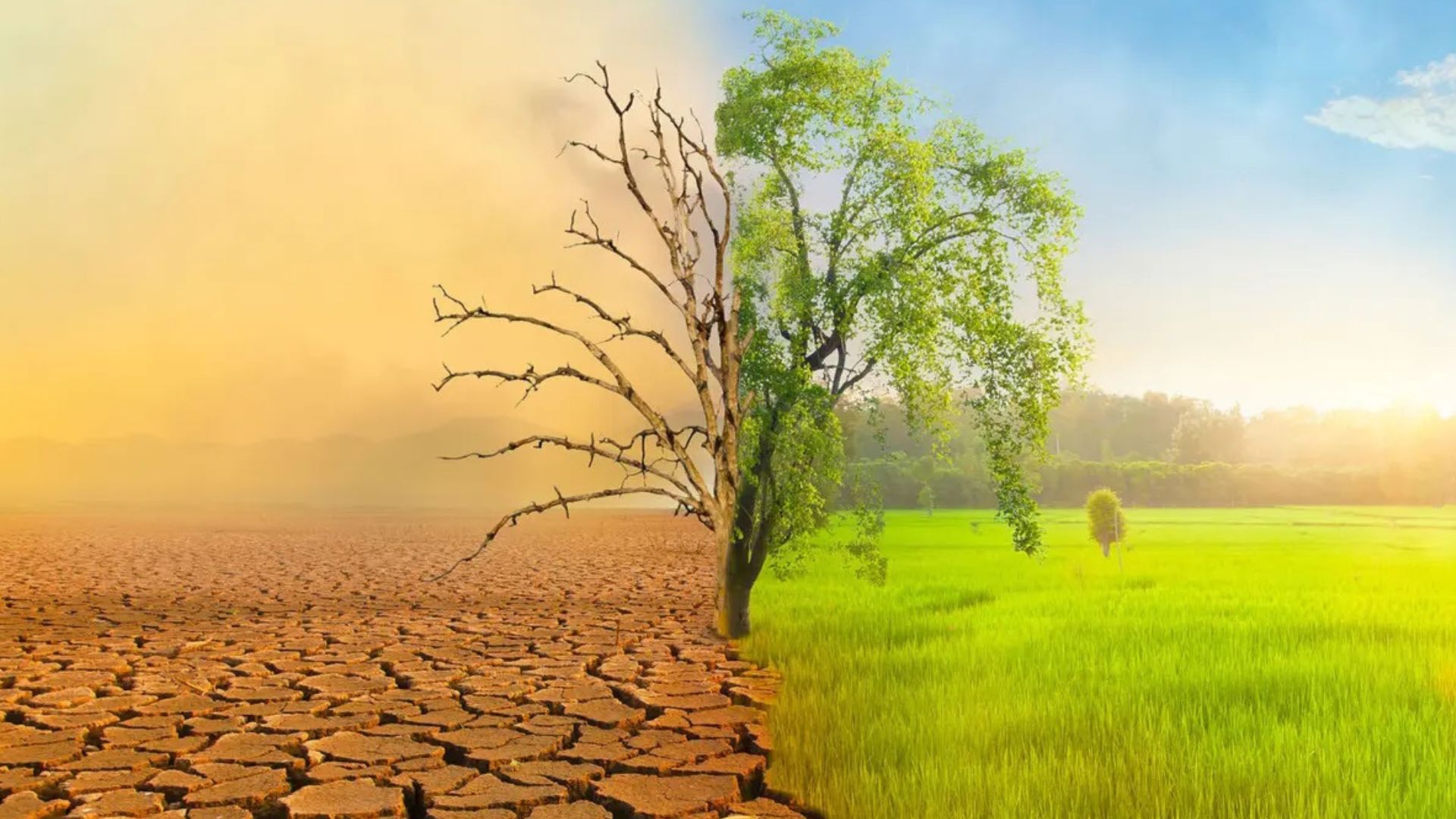 Λειψυδρία: Χωρίς νερό, δεν υπάρχει ζωή